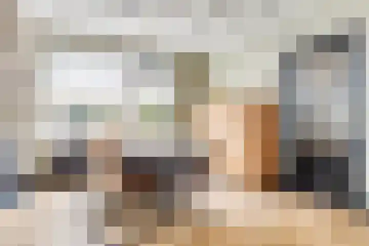 Oosterdiep WZ 115 Emmer-Compascuum thumbnail 8
