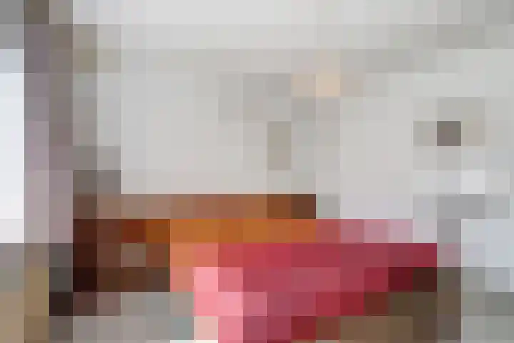 Oosterdiep WZ 119 Emmer-Compascuum thumbnail 16