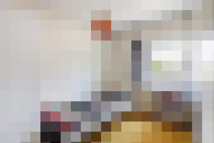 Oosterdiep WZ 119 Emmer-Compascuum thumbnail 20