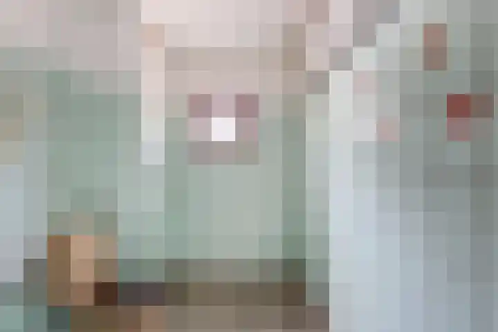 Oosterdiep WZ 119 Emmer-Compascuum thumbnail 24