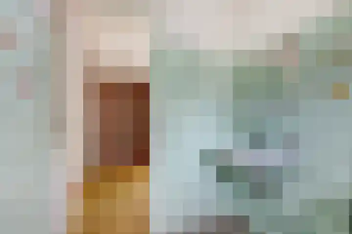 Oosterdiep WZ 119 Emmer-Compascuum thumbnail 25