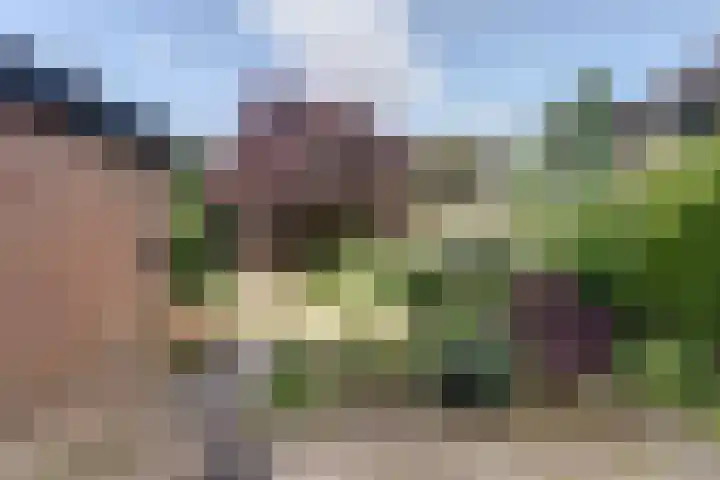 Oosterdiep WZ 119 Emmer-Compascuum thumbnail 27