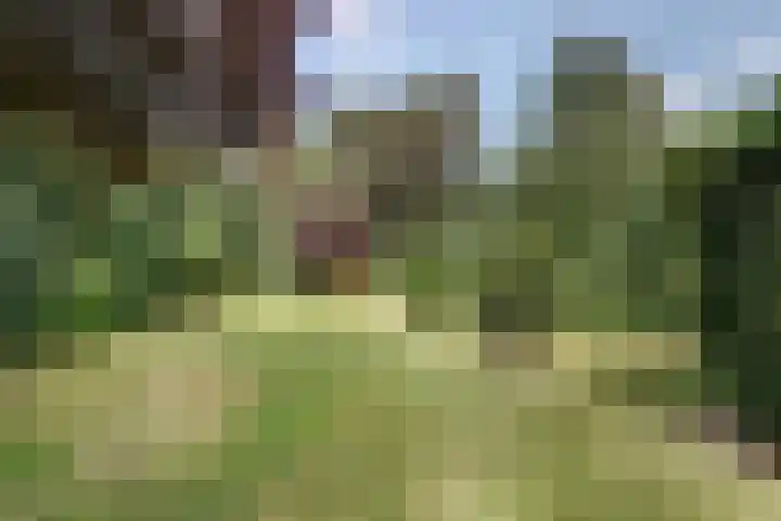 Oosterdiep WZ 119 Emmer-Compascuum thumbnail 28