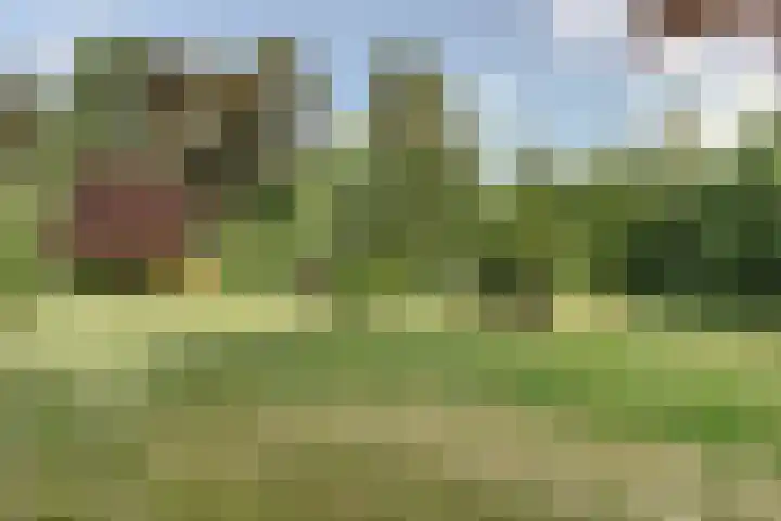 Oosterdiep WZ 119 Emmer-Compascuum thumbnail 29