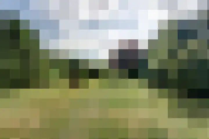 Oosterdiep WZ 119 Emmer-Compascuum thumbnail 30