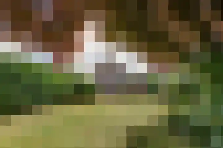Oosterdiep WZ 119 Emmer-Compascuum thumbnail 31