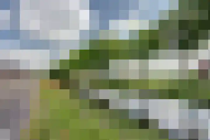 Oosterdiep WZ 119 Emmer-Compascuum thumbnail 33
