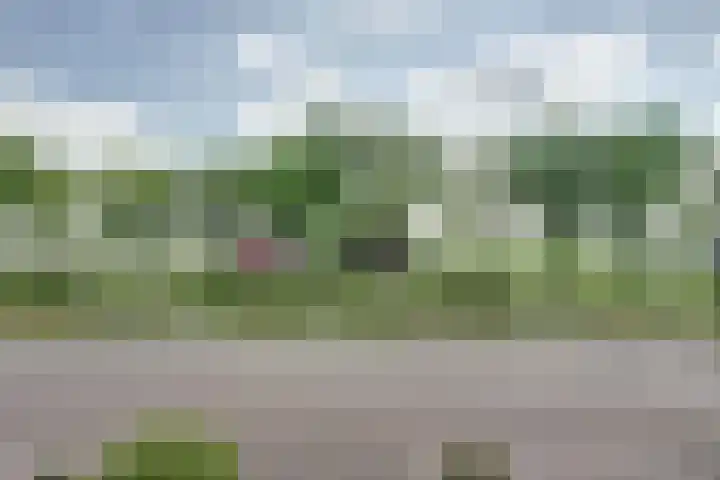 Oosterdiep WZ 119 Emmer-Compascuum thumbnail 34