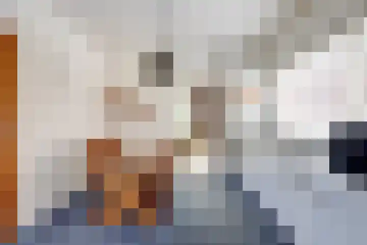 Oosterdiep WZ 119 Emmer-Compascuum thumbnail 8