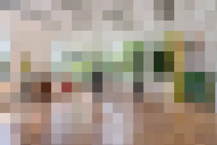 Oosterdiep WZ 126 Emmer-Compascuum thumbnail 12