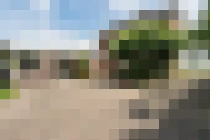 Oosterdiep WZ 126 Emmer-Compascuum thumbnail 25