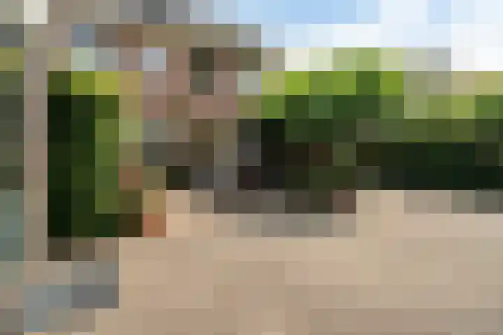 Oosterdiep WZ 126 Emmer-Compascuum thumbnail 26