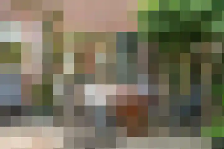 Oosterdiep WZ 126 Emmer-Compascuum thumbnail 27