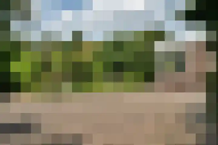 Oosterdiep WZ 126 Emmer-Compascuum thumbnail 28