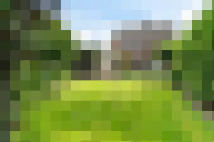 Oosterdiep WZ 126 Emmer-Compascuum thumbnail 29