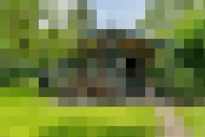 Oosterdiep WZ 126 Emmer-Compascuum thumbnail 31
