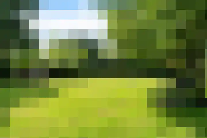 Oosterdiep WZ 126 Emmer-Compascuum thumbnail 33