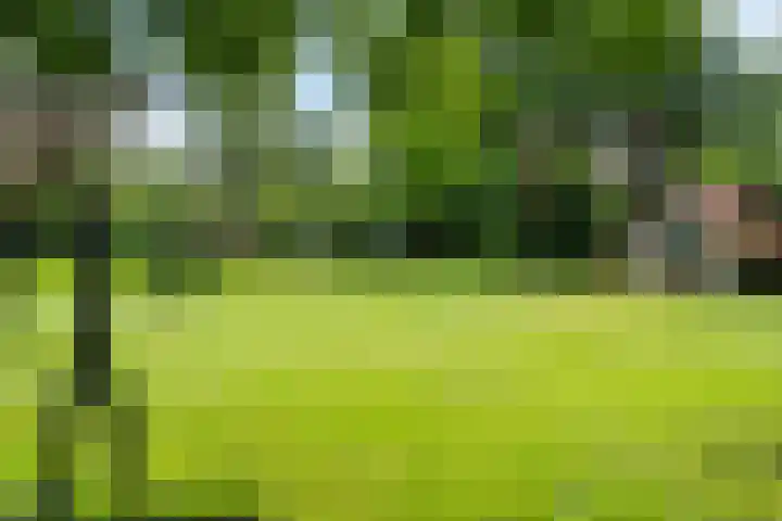 Oosterdiep WZ 126 Emmer-Compascuum thumbnail 34