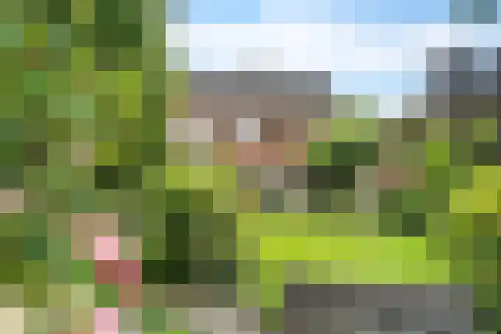 Oosterdiep WZ 126 Emmer-Compascuum thumbnail 35
