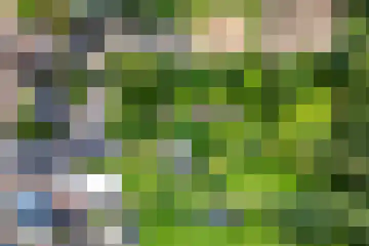 Oosterdiep WZ 126 Emmer-Compascuum thumbnail 36