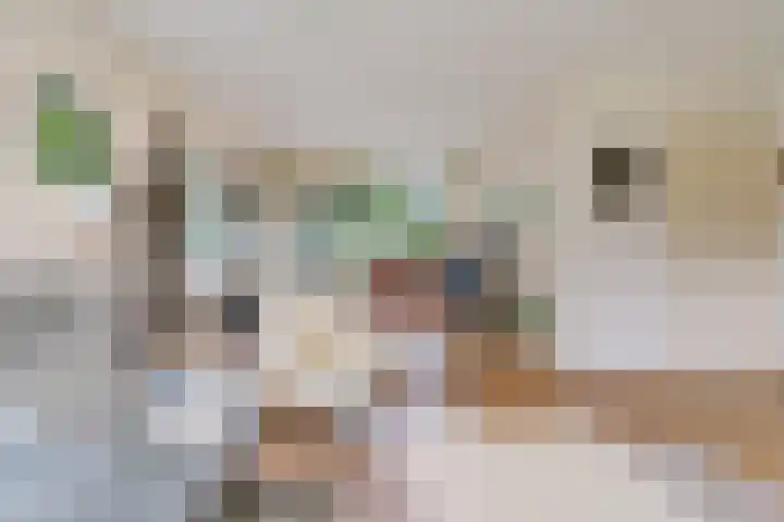 Oosterdiep WZ 126 Emmer-Compascuum thumbnail 5