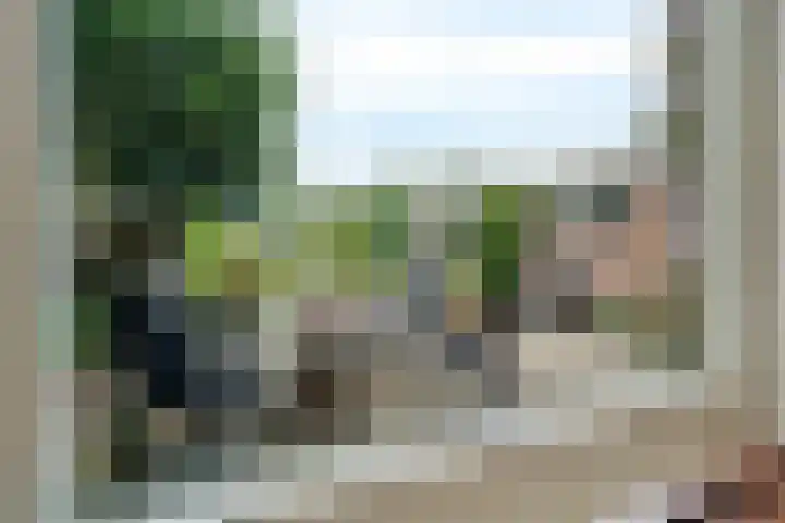 Oosterdiep WZ 126 Emmer-Compascuum thumbnail 7
