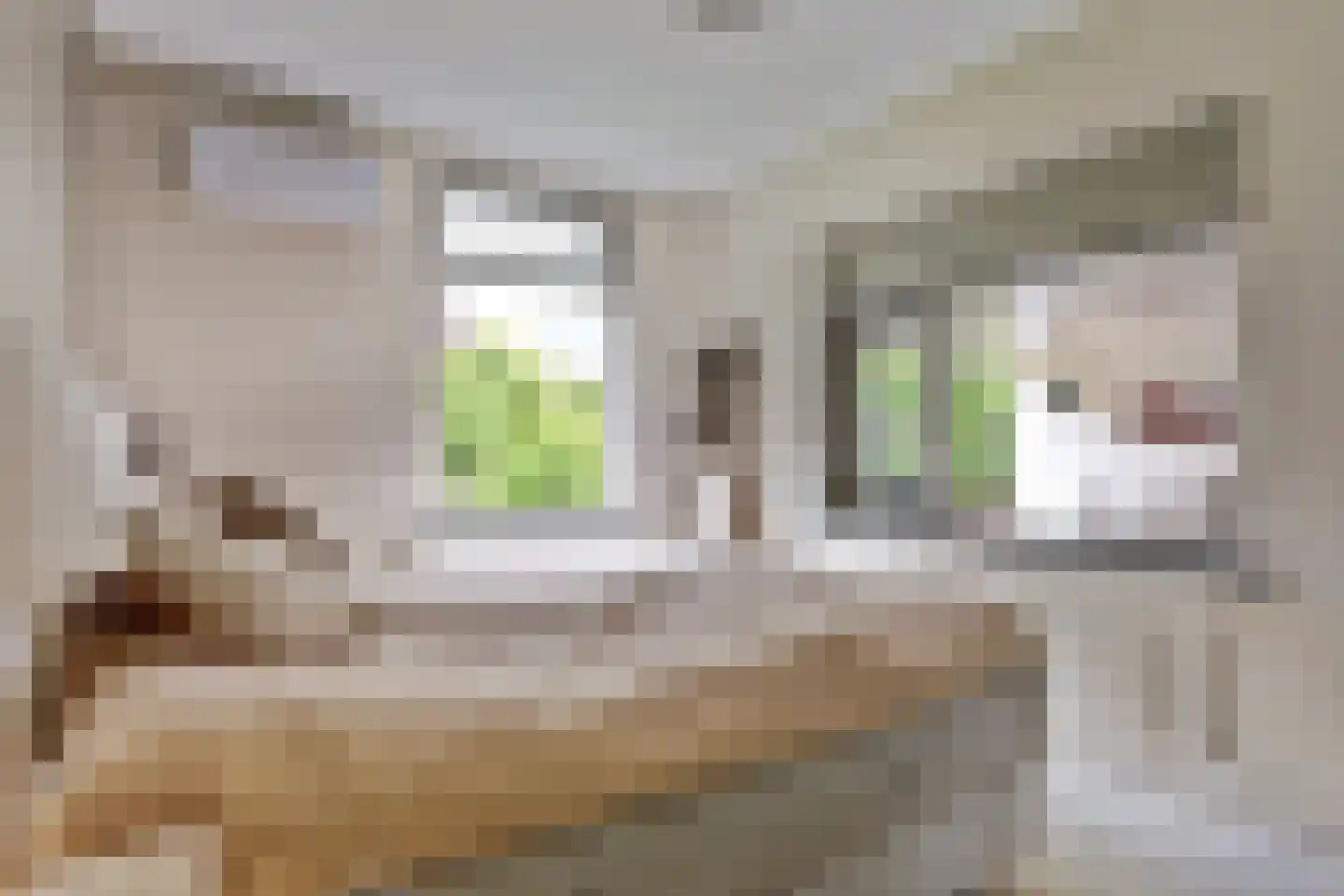 Oosterdiep WZ 144 Emmer-Compascuum thumbnail 16