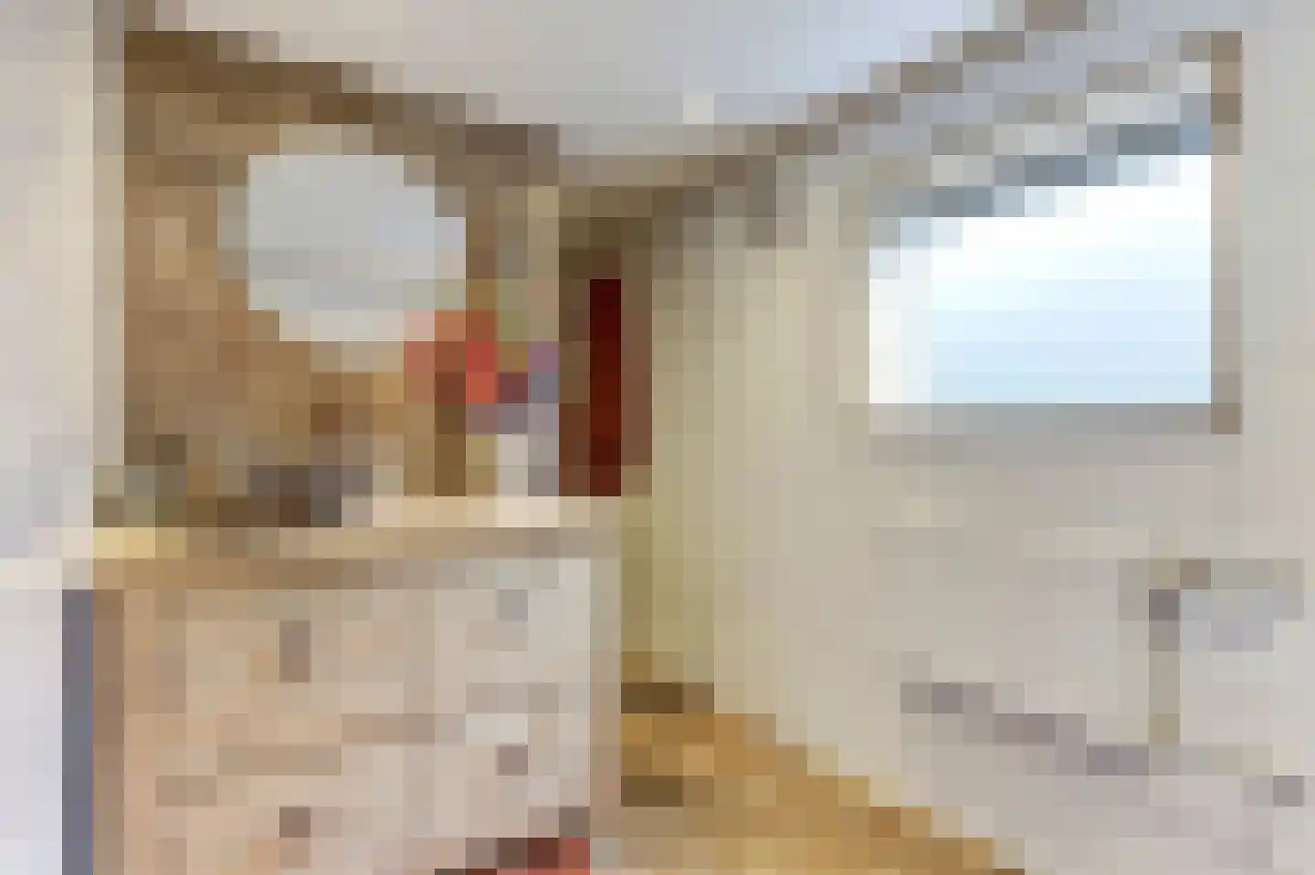Oosterdiep WZ 144 Emmer-Compascuum thumbnail 21