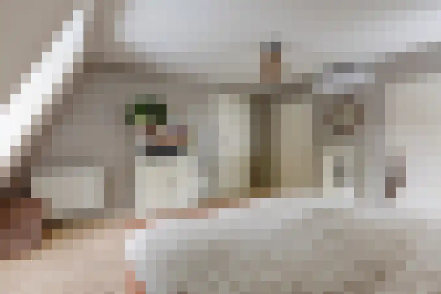 Oosterdiep WZ 144 Emmer-Compascuum thumbnail 33