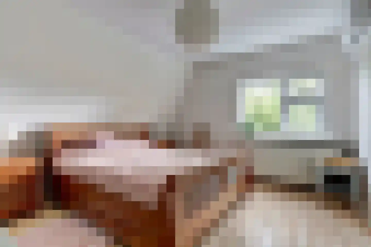 Oosterdiep WZ 144 Emmer-Compascuum thumbnail 34