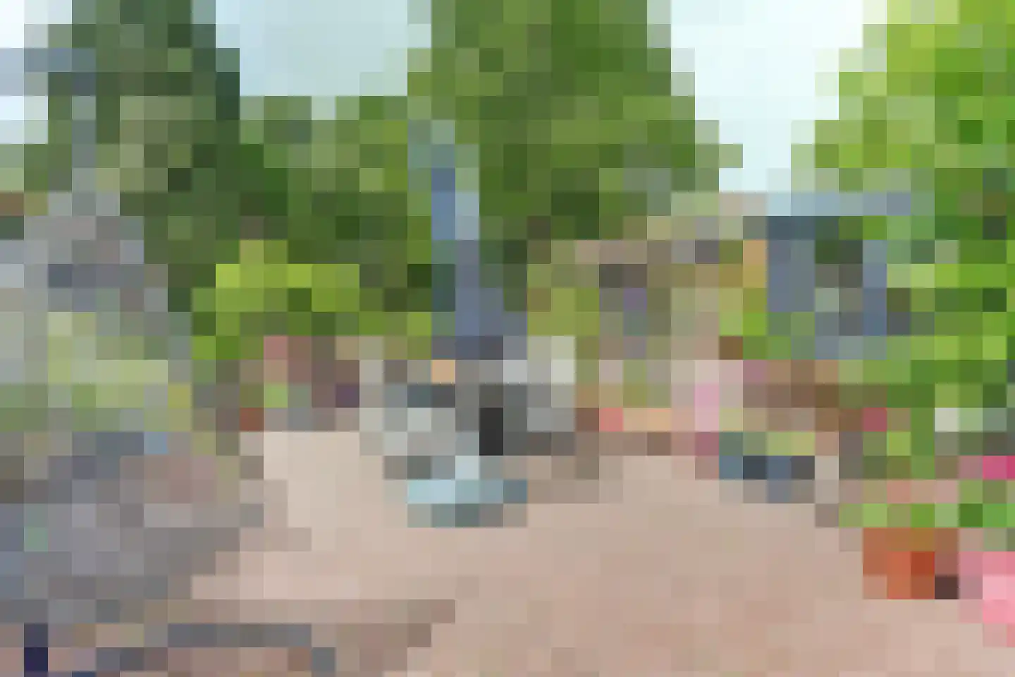 Oosterdiep WZ 144 Emmer-Compascuum thumbnail 43