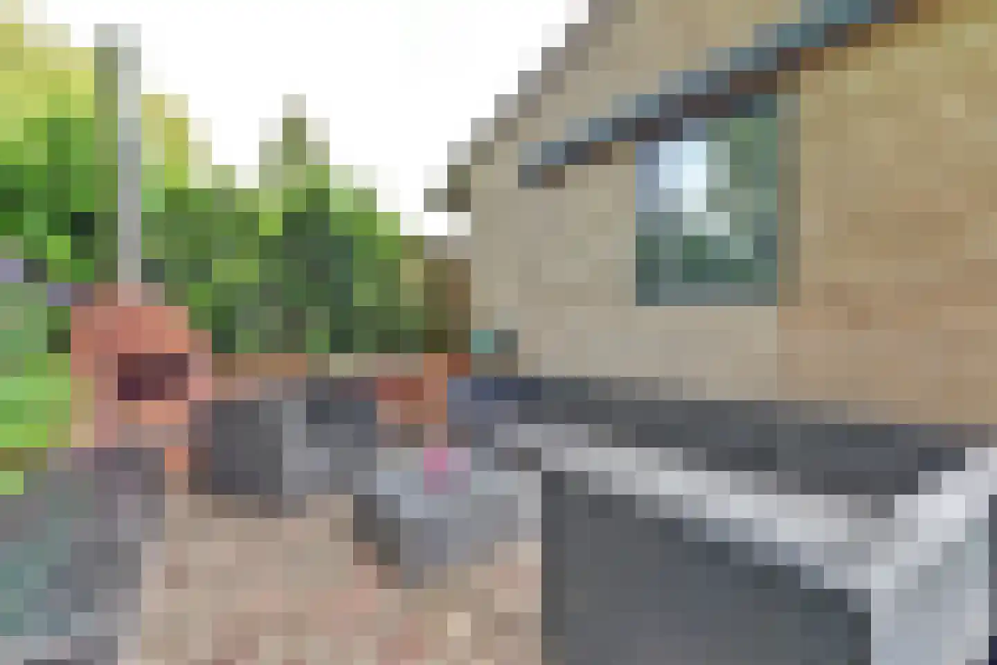 Oosterdiep WZ 144 Emmer-Compascuum thumbnail 44