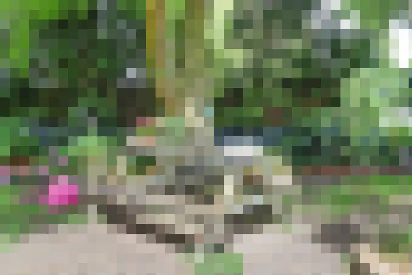 Oosterdiep WZ 144 Emmer-Compascuum thumbnail 45