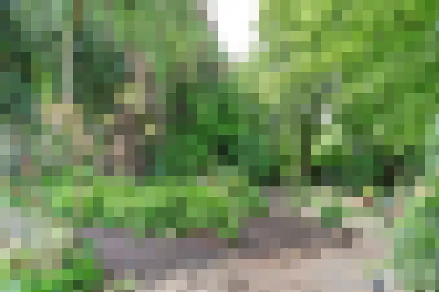 Oosterdiep WZ 144 Emmer-Compascuum thumbnail 46