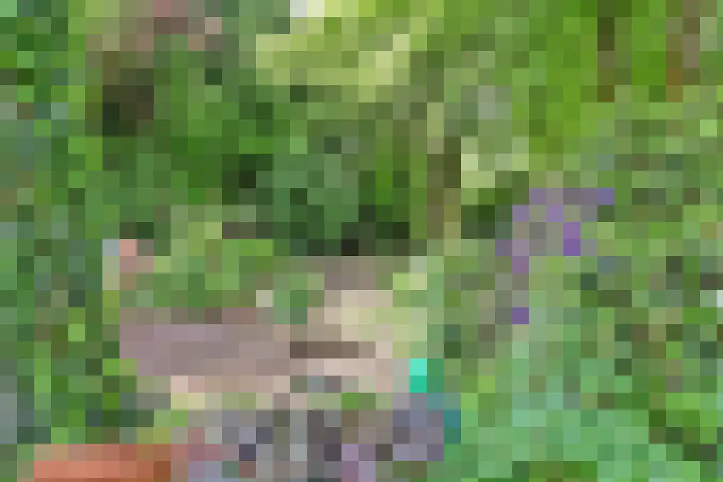 Oosterdiep WZ 144 Emmer-Compascuum thumbnail 47