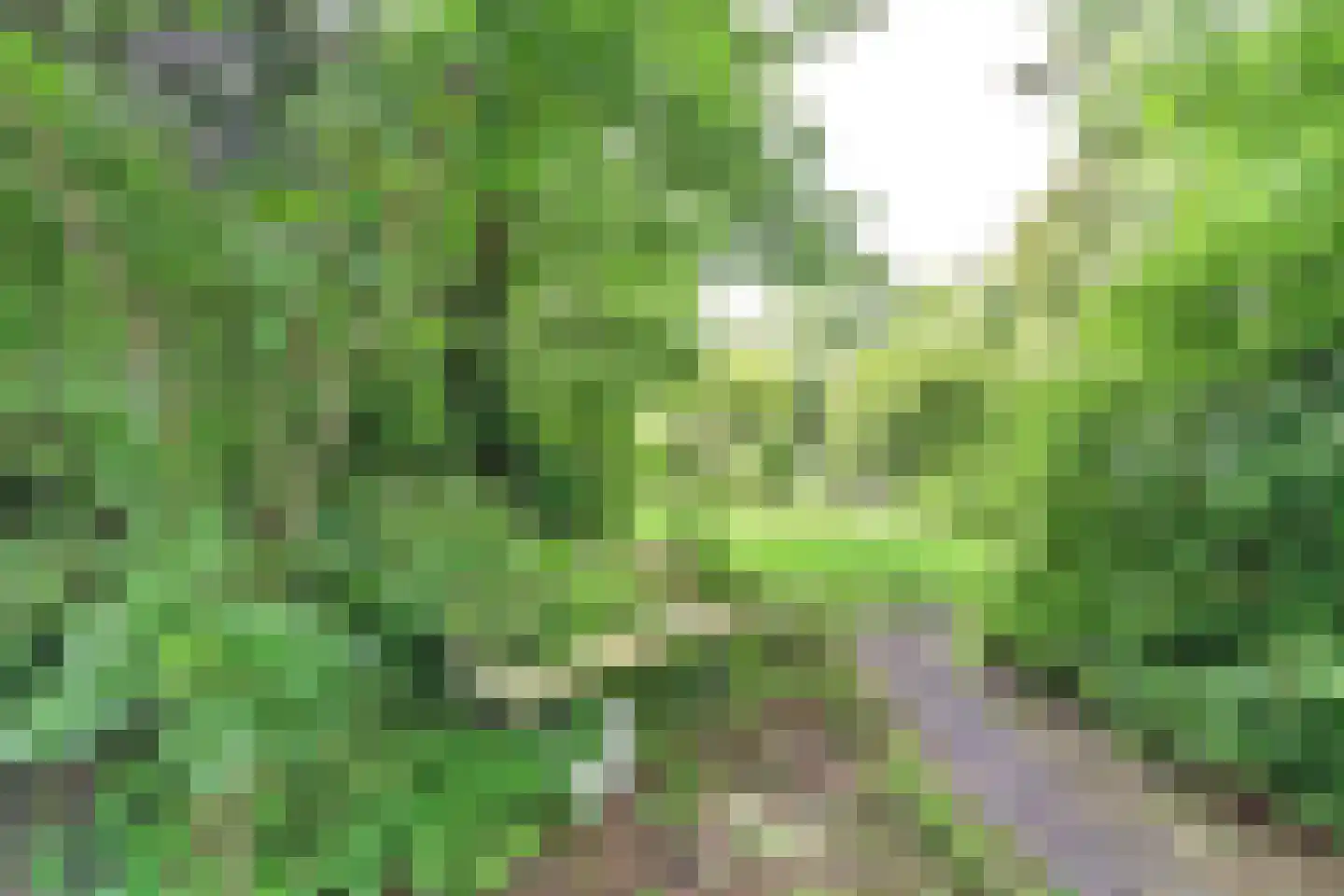 Oosterdiep WZ 144 Emmer-Compascuum thumbnail 48