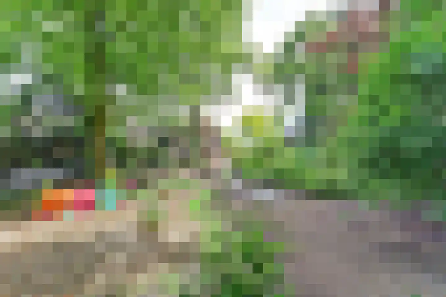 Oosterdiep WZ 144 Emmer-Compascuum thumbnail 49