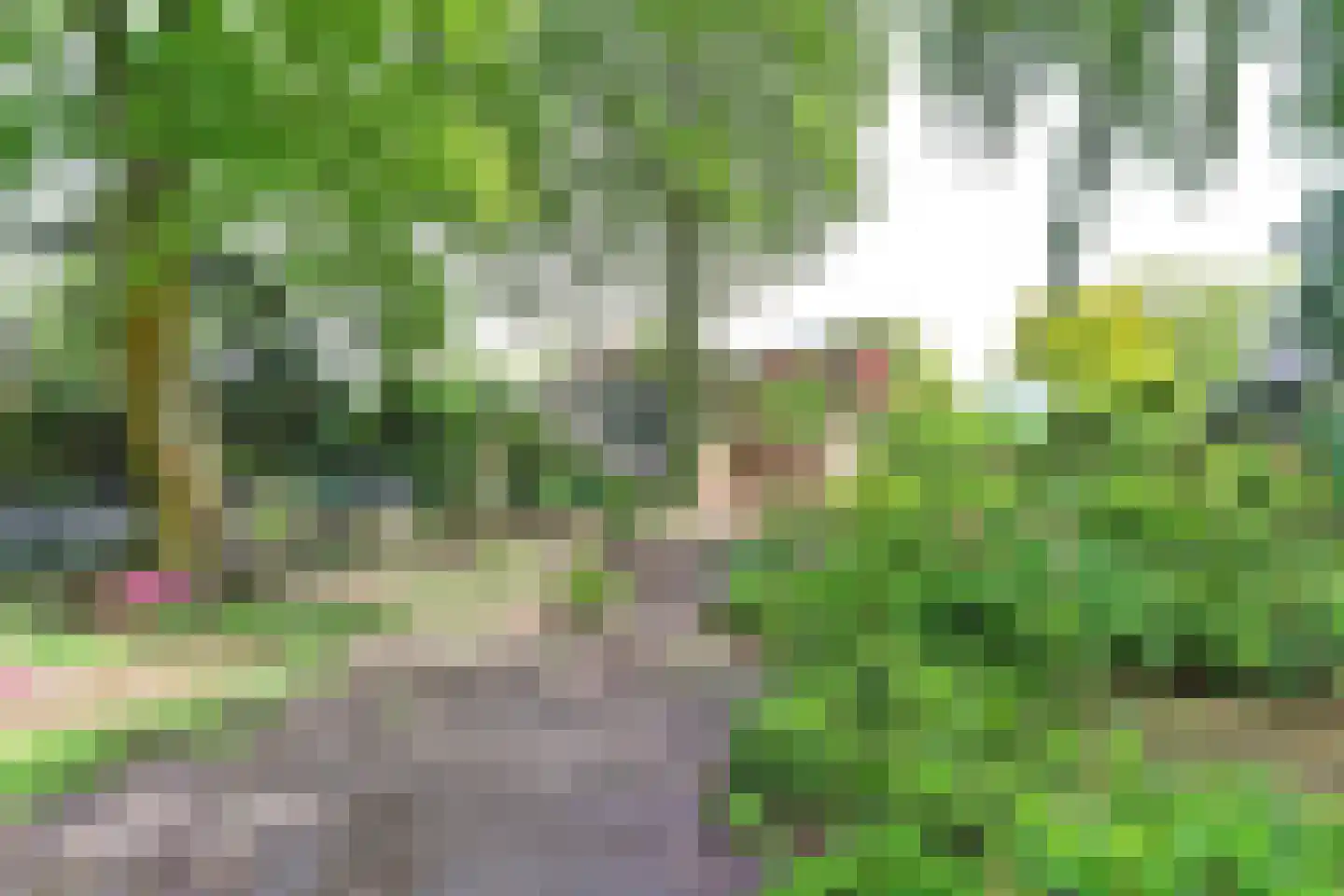 Oosterdiep WZ 144 Emmer-Compascuum thumbnail 50