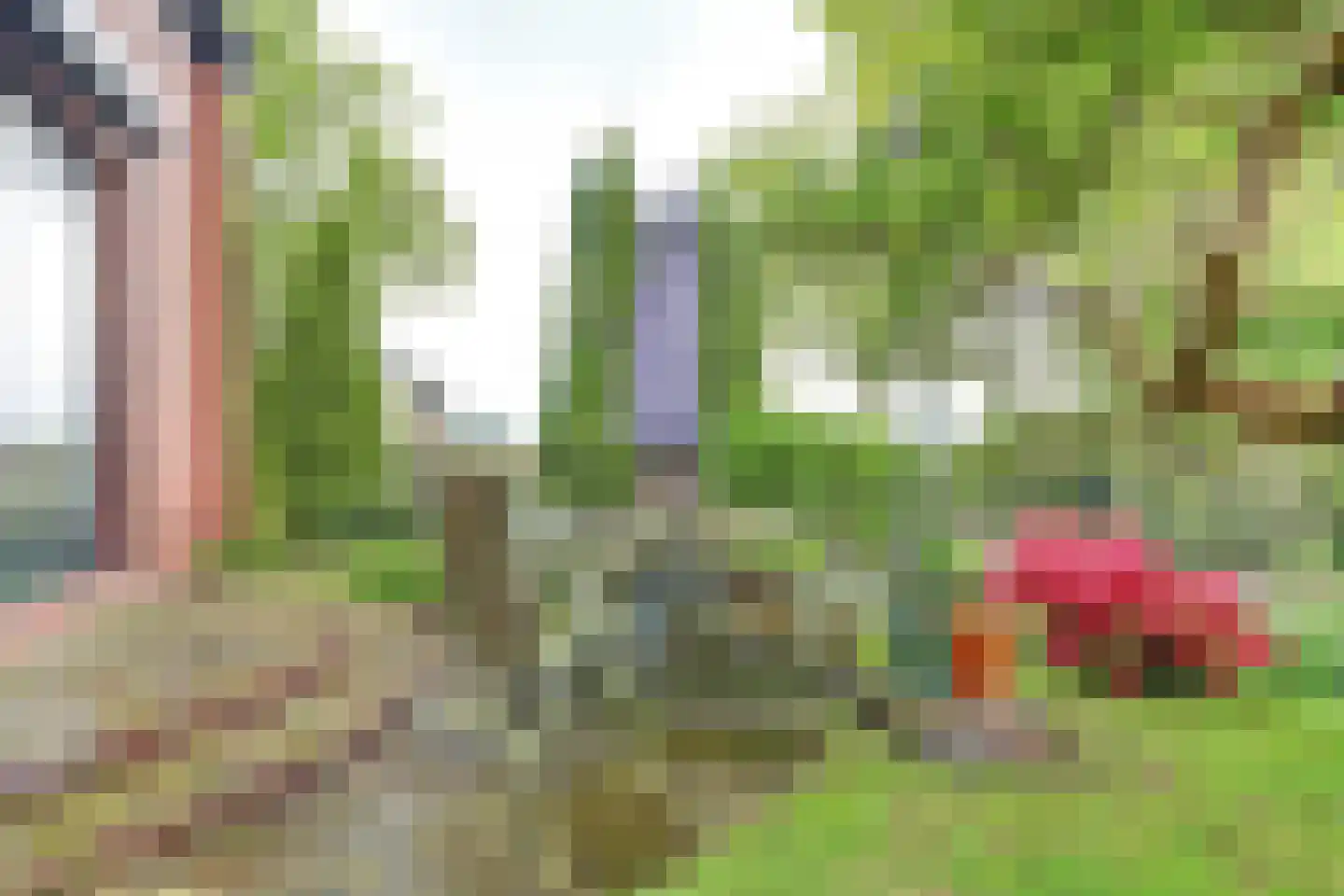 Oosterdiep WZ 144 Emmer-Compascuum thumbnail 52