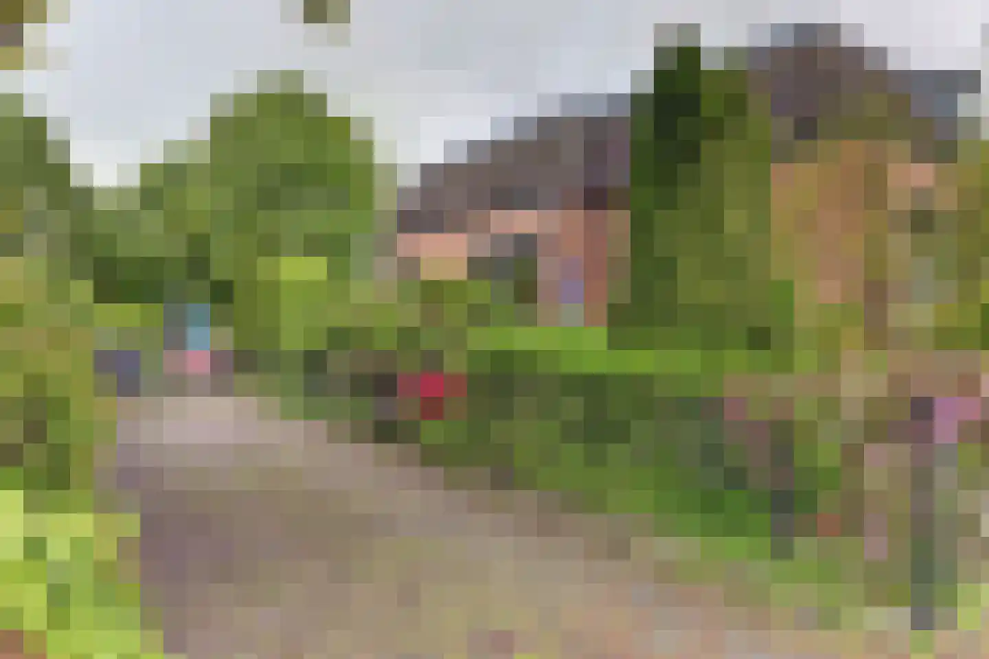 Oosterdiep WZ 144 Emmer-Compascuum thumbnail 53