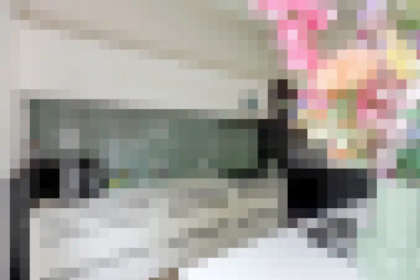 Oosterdiep WZ 144 Emmer-Compascuum thumbnail 9
