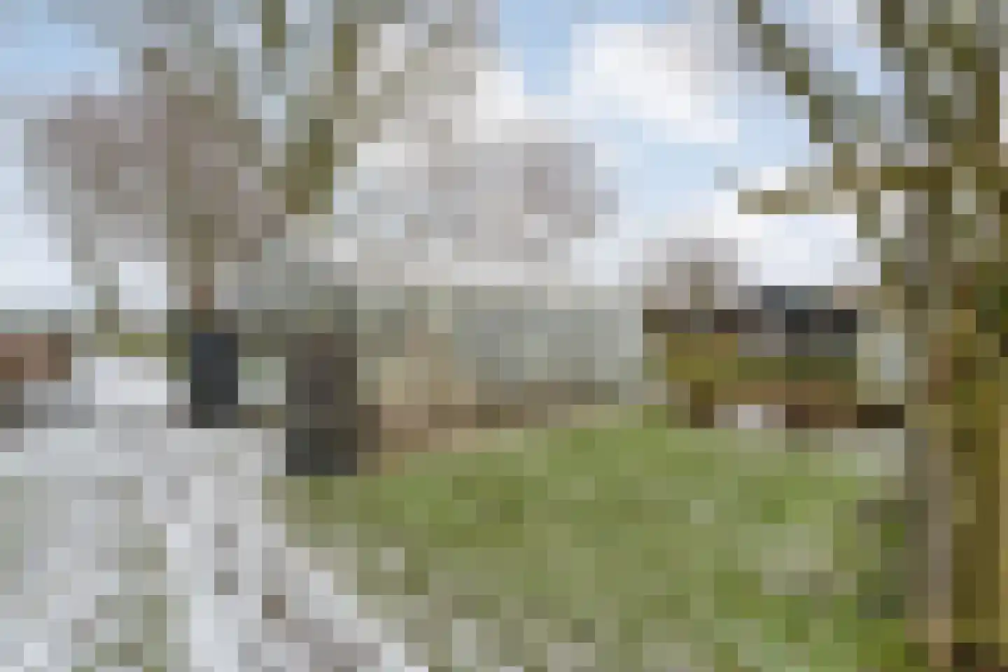 Oosterdiep WZ 191 Emmer-Compascuum thumbnail 55