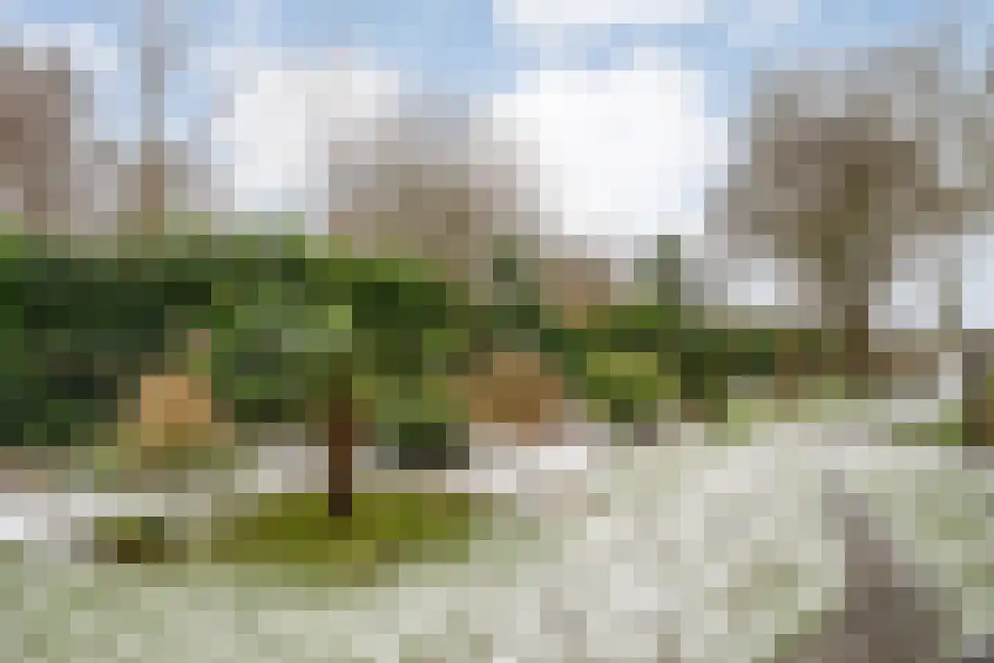 Oosterdiep WZ 191 Emmer-Compascuum thumbnail 62
