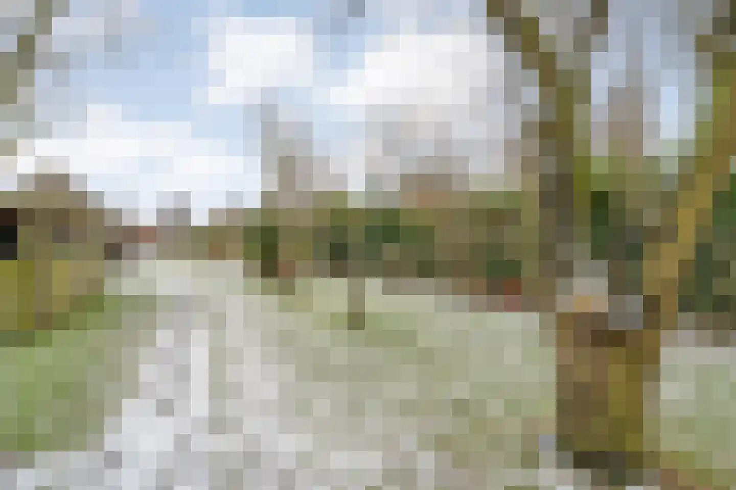 Oosterdiep WZ 191 Emmer-Compascuum thumbnail 63