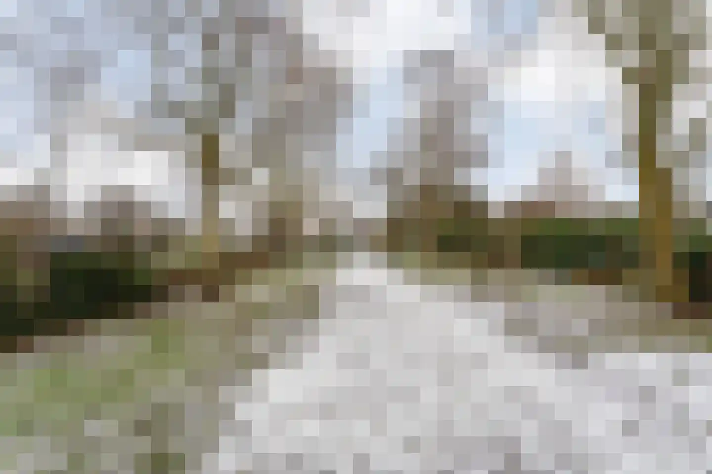 Oosterdiep WZ 191 Emmer-Compascuum thumbnail 65