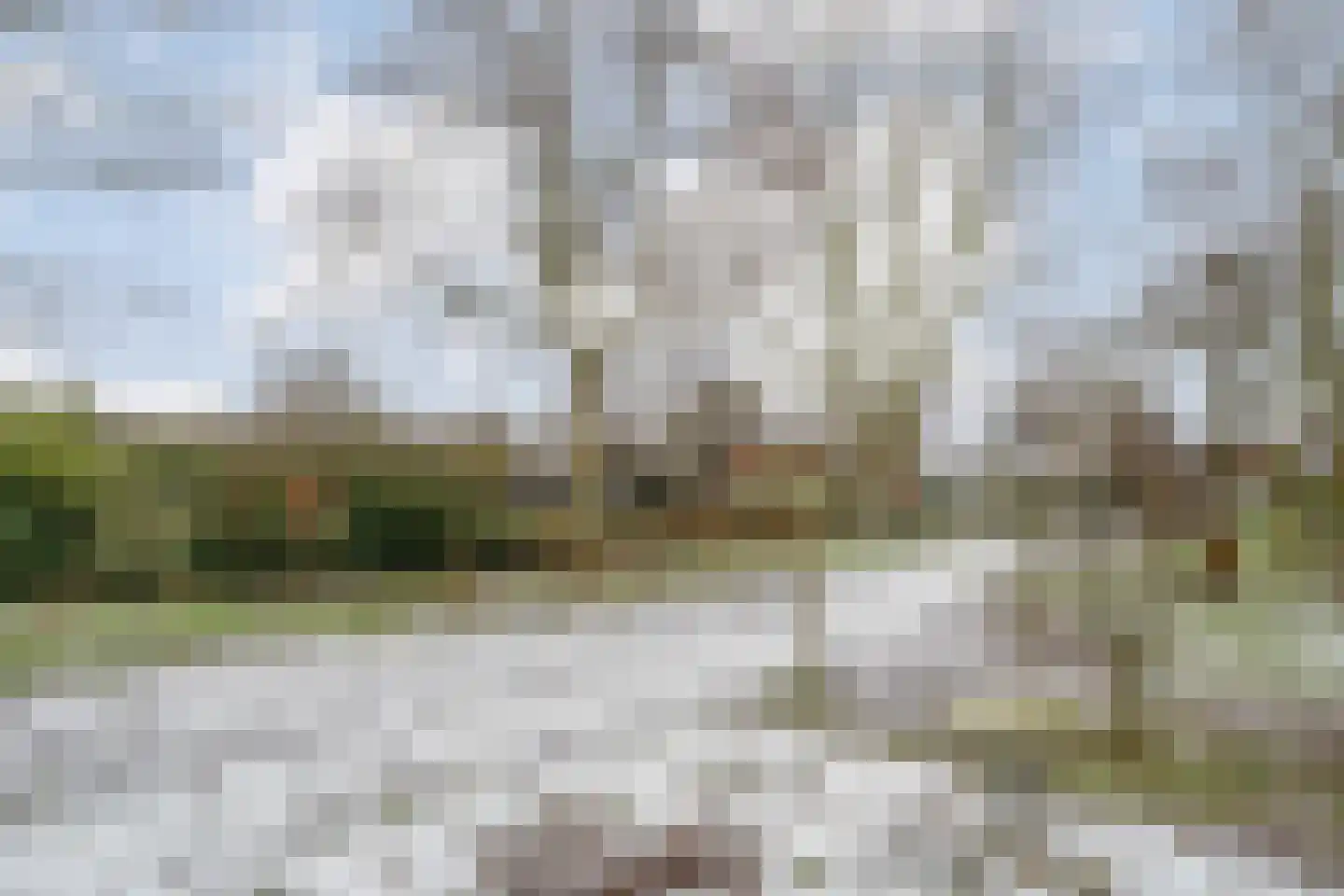 Oosterdiep WZ 191 Emmer-Compascuum thumbnail 66