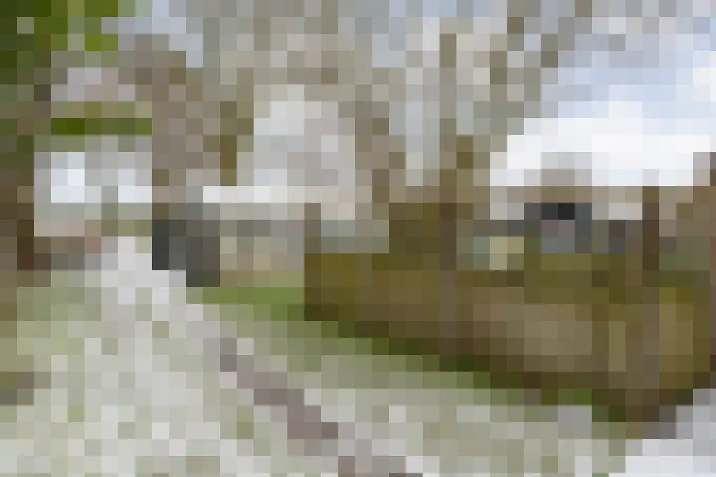 Oosterdiep WZ 191 Emmer-Compascuum thumbnail 68