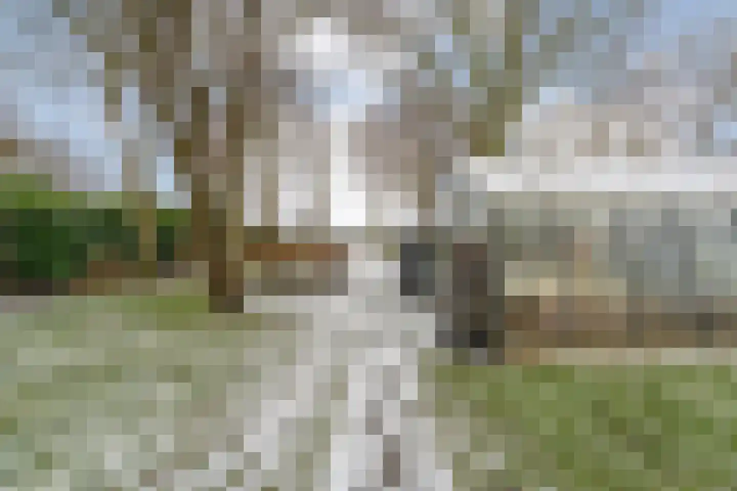 Oosterdiep WZ 191 Emmer-Compascuum thumbnail 69