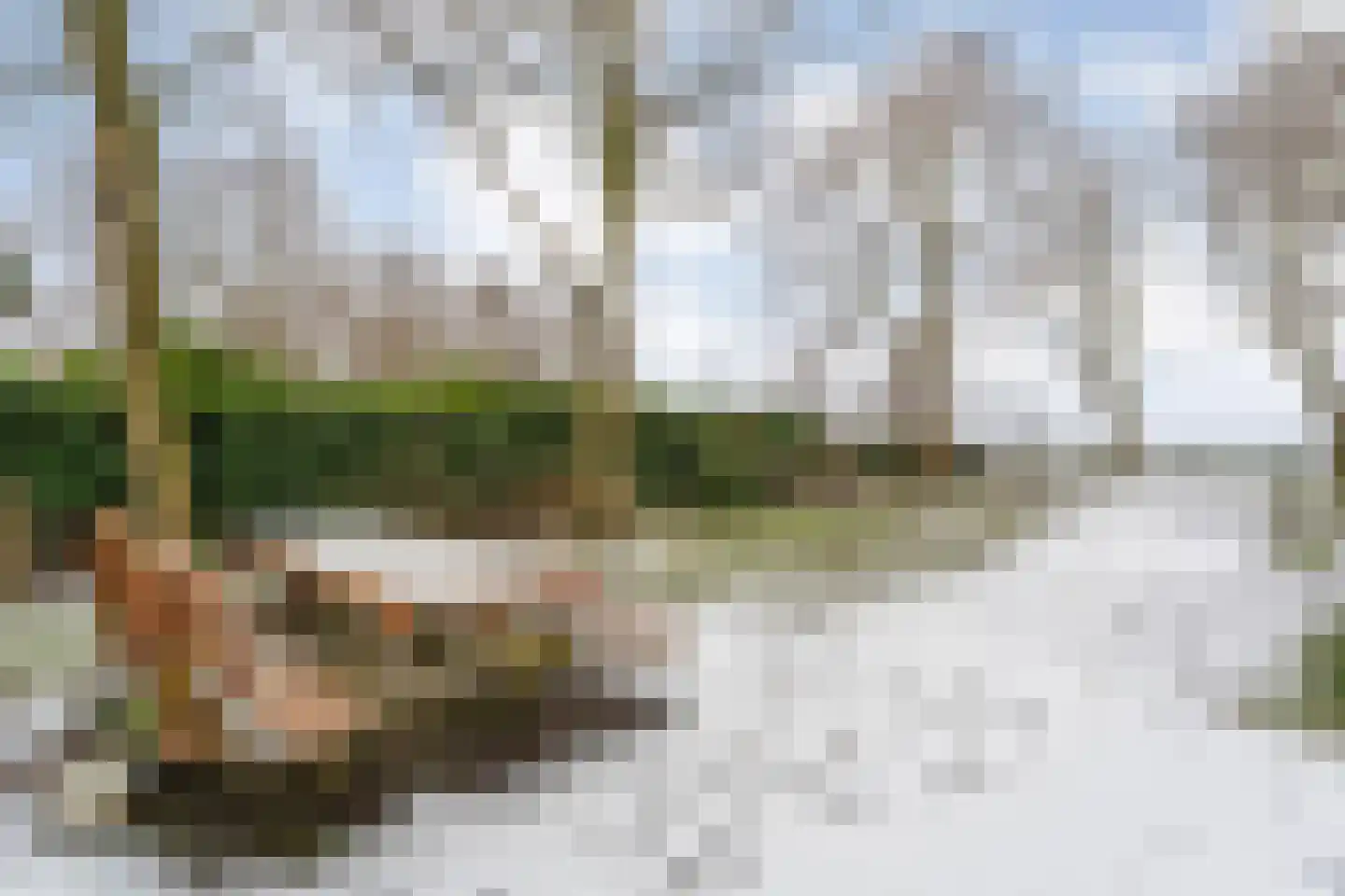 Oosterdiep WZ 191 Emmer-Compascuum thumbnail 72