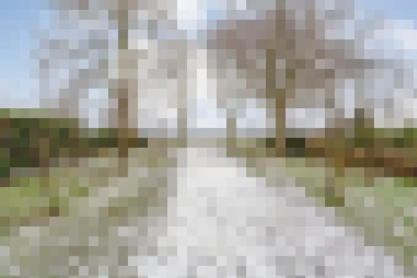 Oosterdiep WZ 191 Emmer-Compascuum thumbnail 73